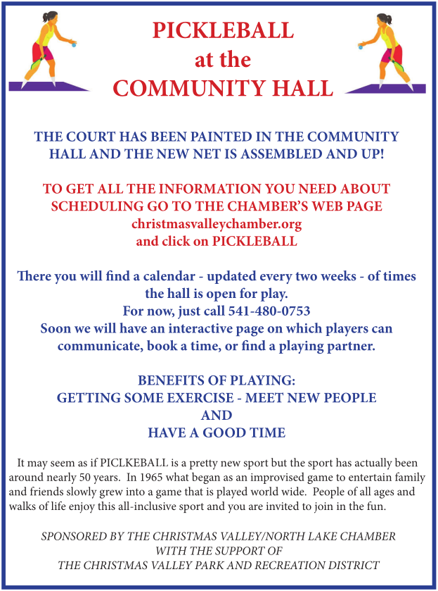 Poster of Pickleball Information